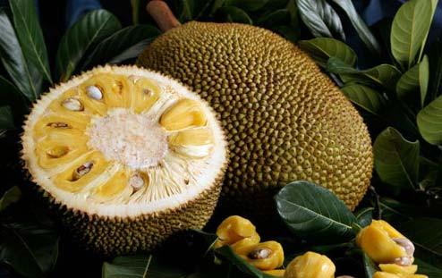 10 semelhanças entre o Brasil e a Tailândia – Parte 1