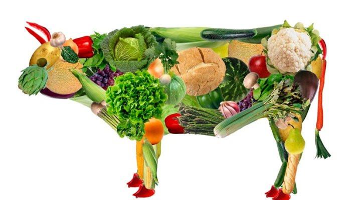Mas veganismo não é alimentação? Descubra a Moda Vegana